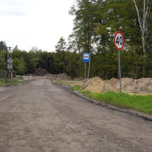 Dąbrowa-Szarów