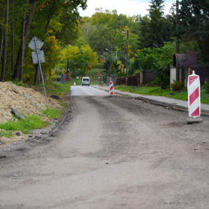 Dąbrowa-Szarów