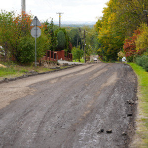 Dąbrowa-Szarów