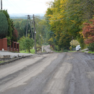 Dąbrowa-Szarów