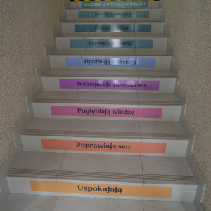 Szkoła Podstawowa w Grodkowicach Szkoła Podstawowa w Grodkowicach