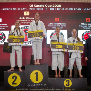 Qi Karate Cup Qi Karate Cup