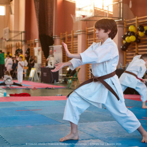 Qi Karate Cup Qi Karate Cup